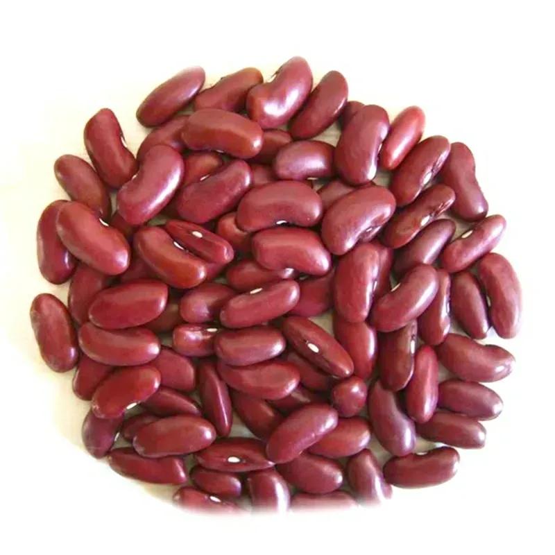 Frijoles colorados (1lb)